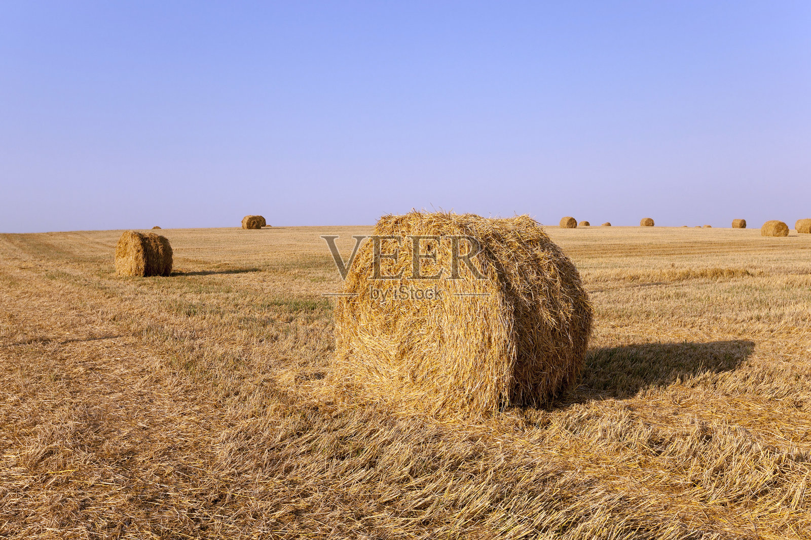 堆稻草照片摄影图片
