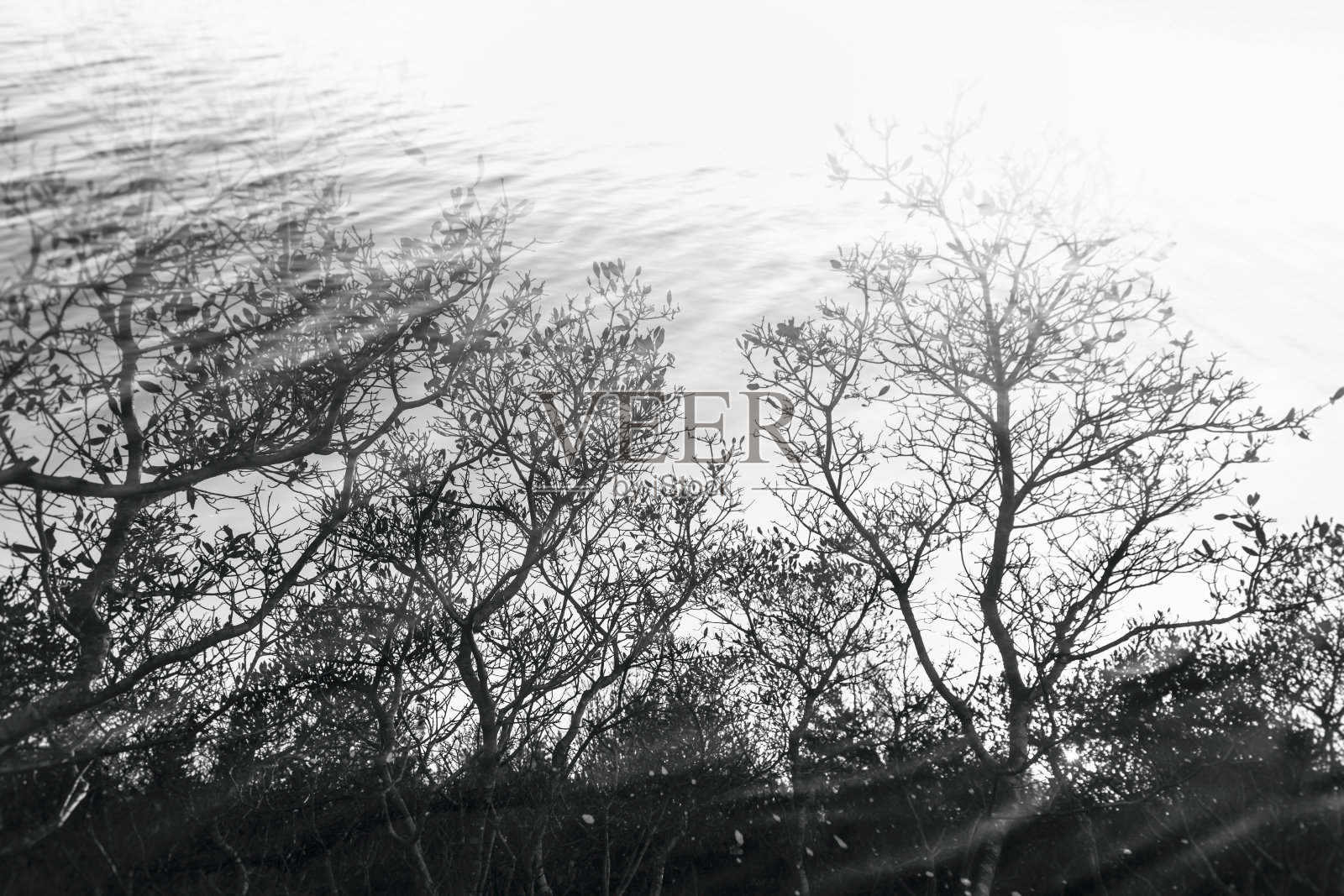 11月的太阳照片摄影图片