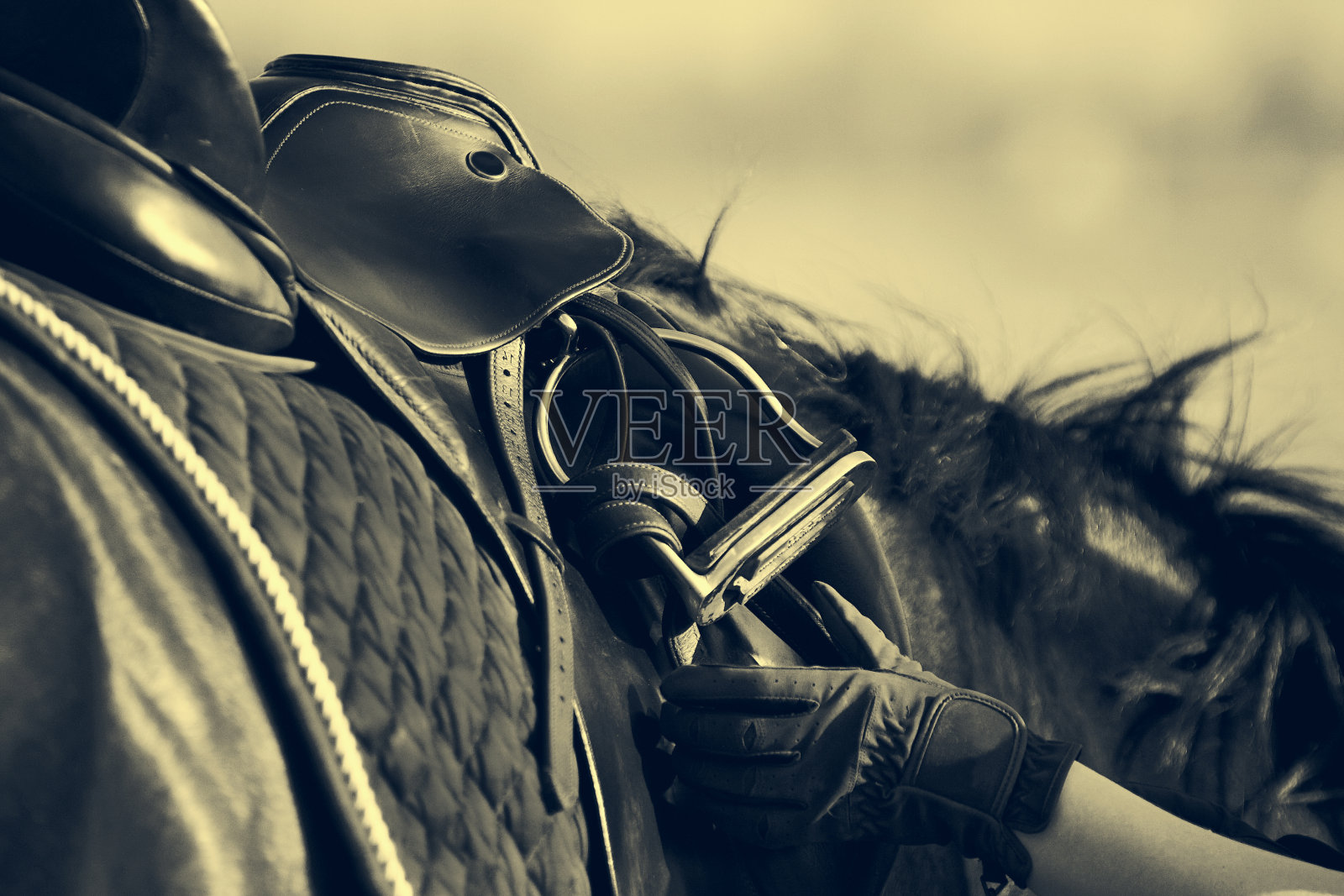 马背上有马镫的马鞍照片摄影图片