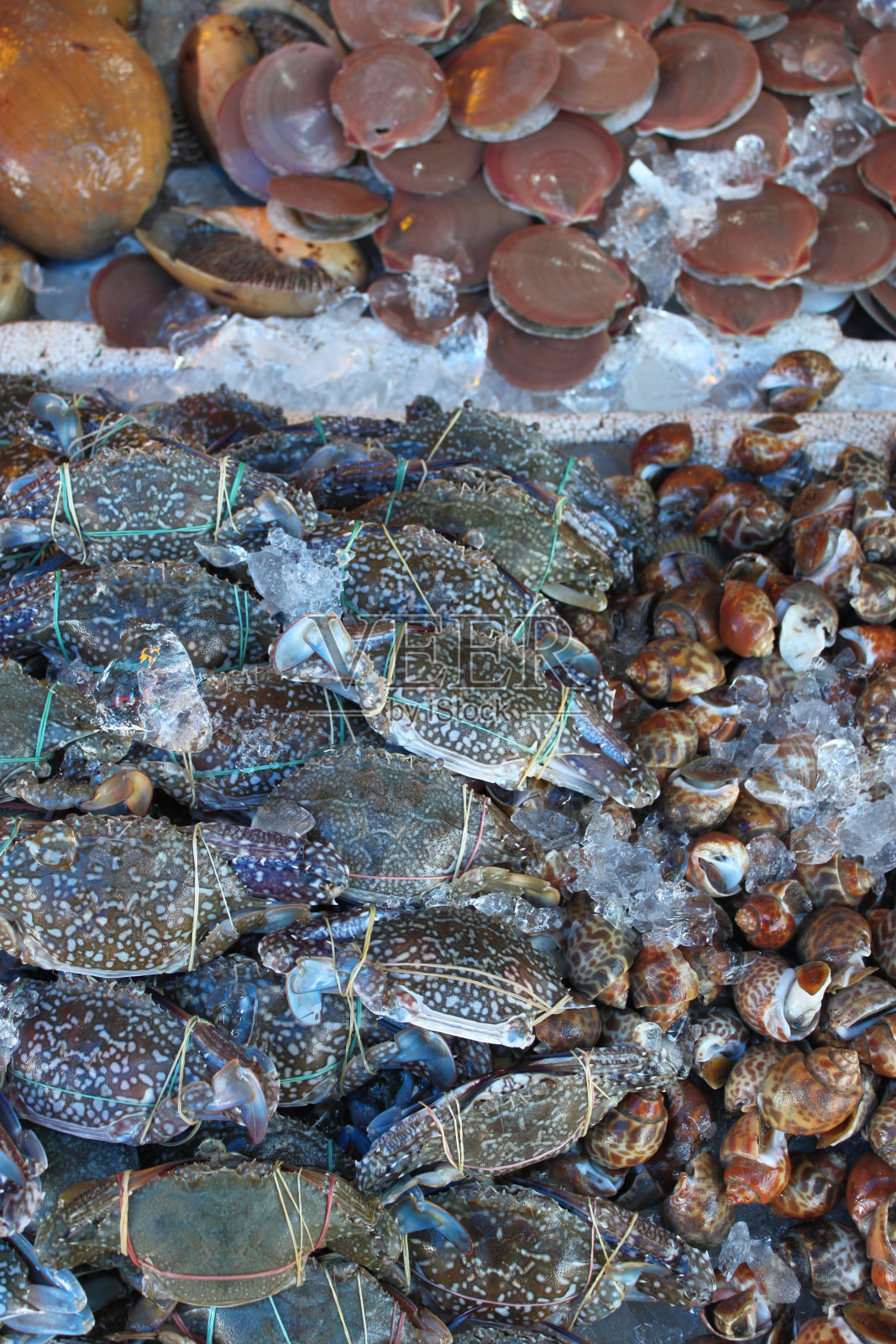 一堆扇贝和螃蟹照片摄影图片
