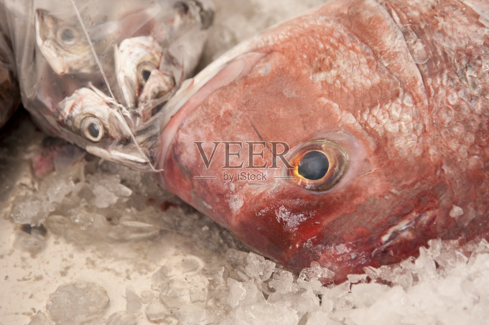 木头照片摄影图片