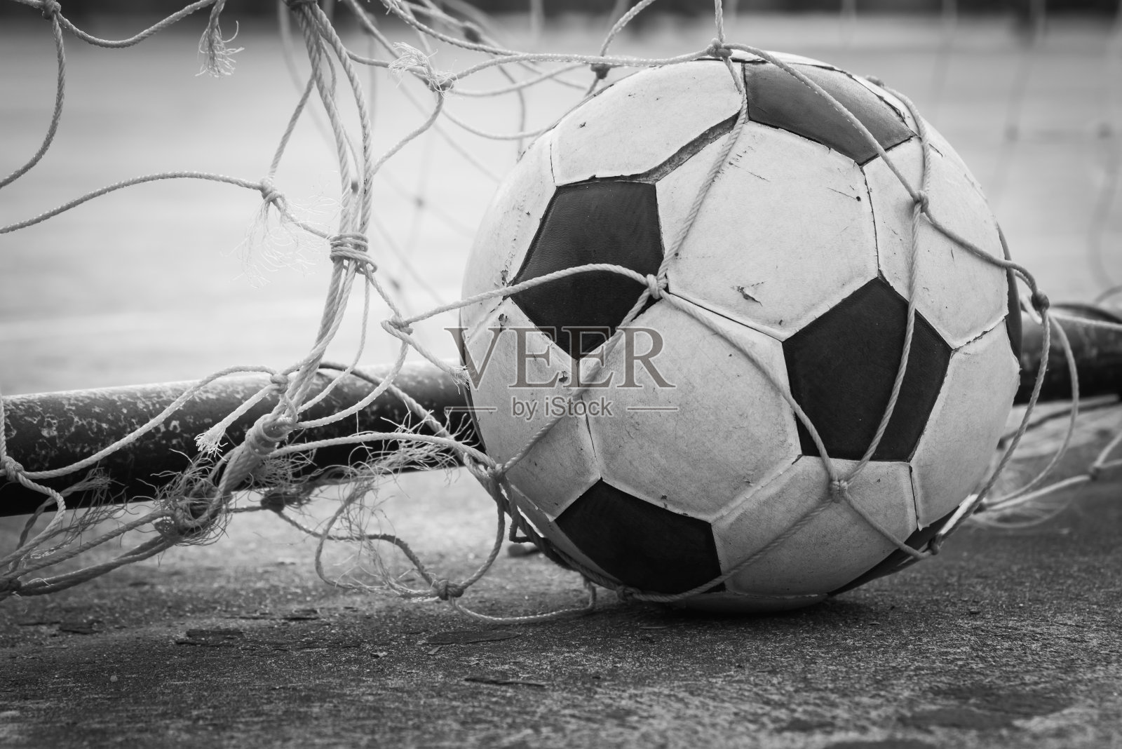 老球入网照片摄影图片