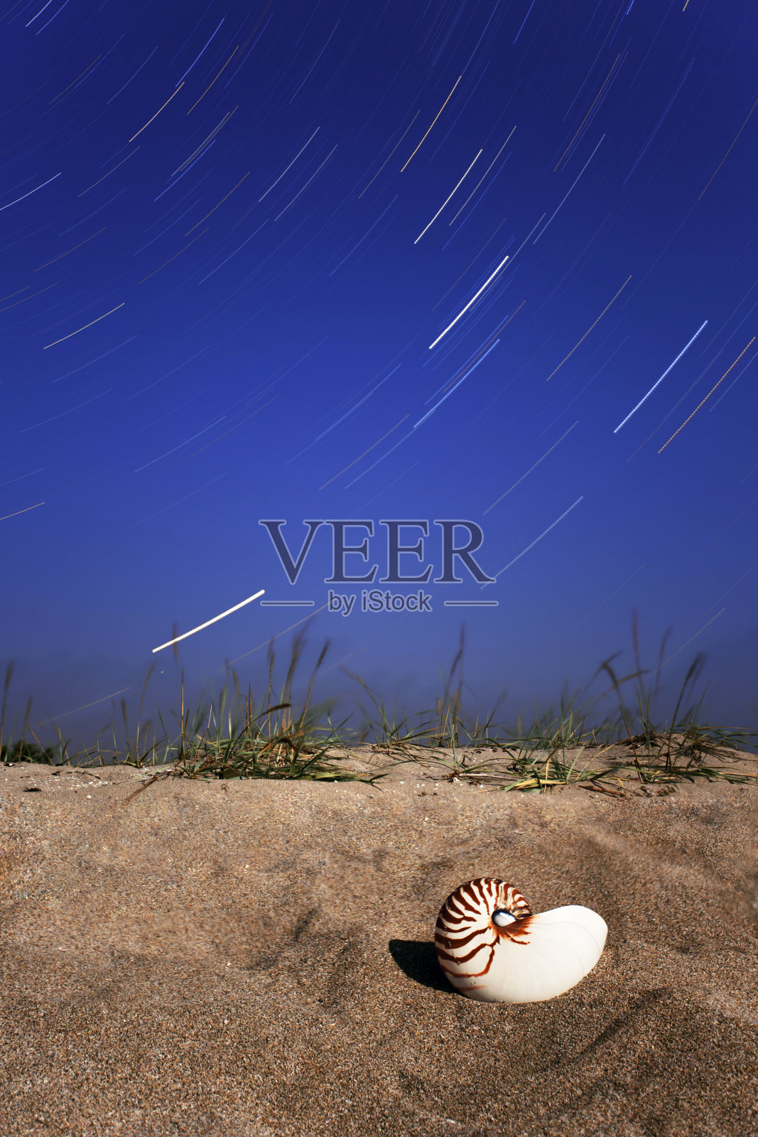 《星际迷航》的夜空克里米亚。照片摄影图片