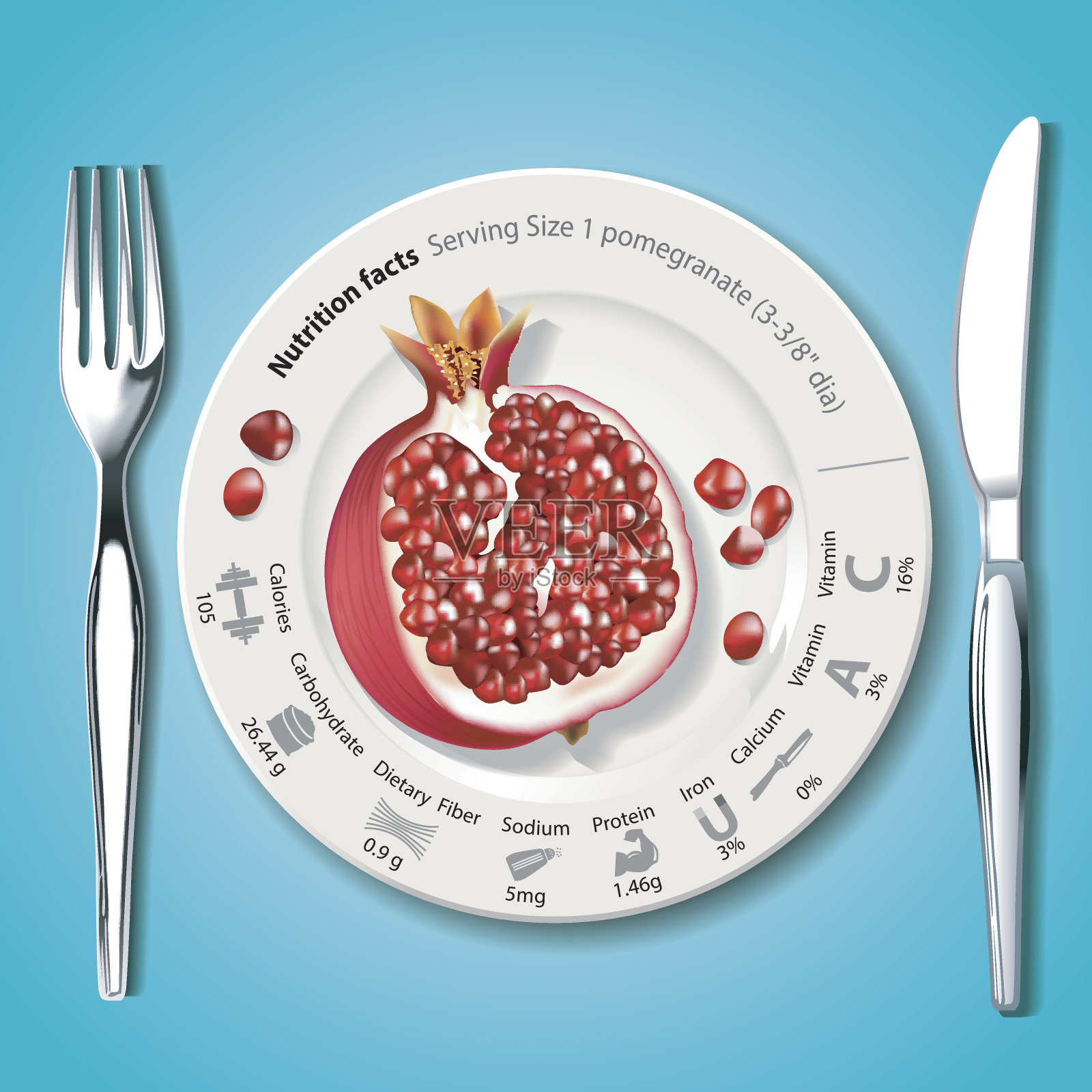 白色盘子上的石榴营养成分向量插画图片素材