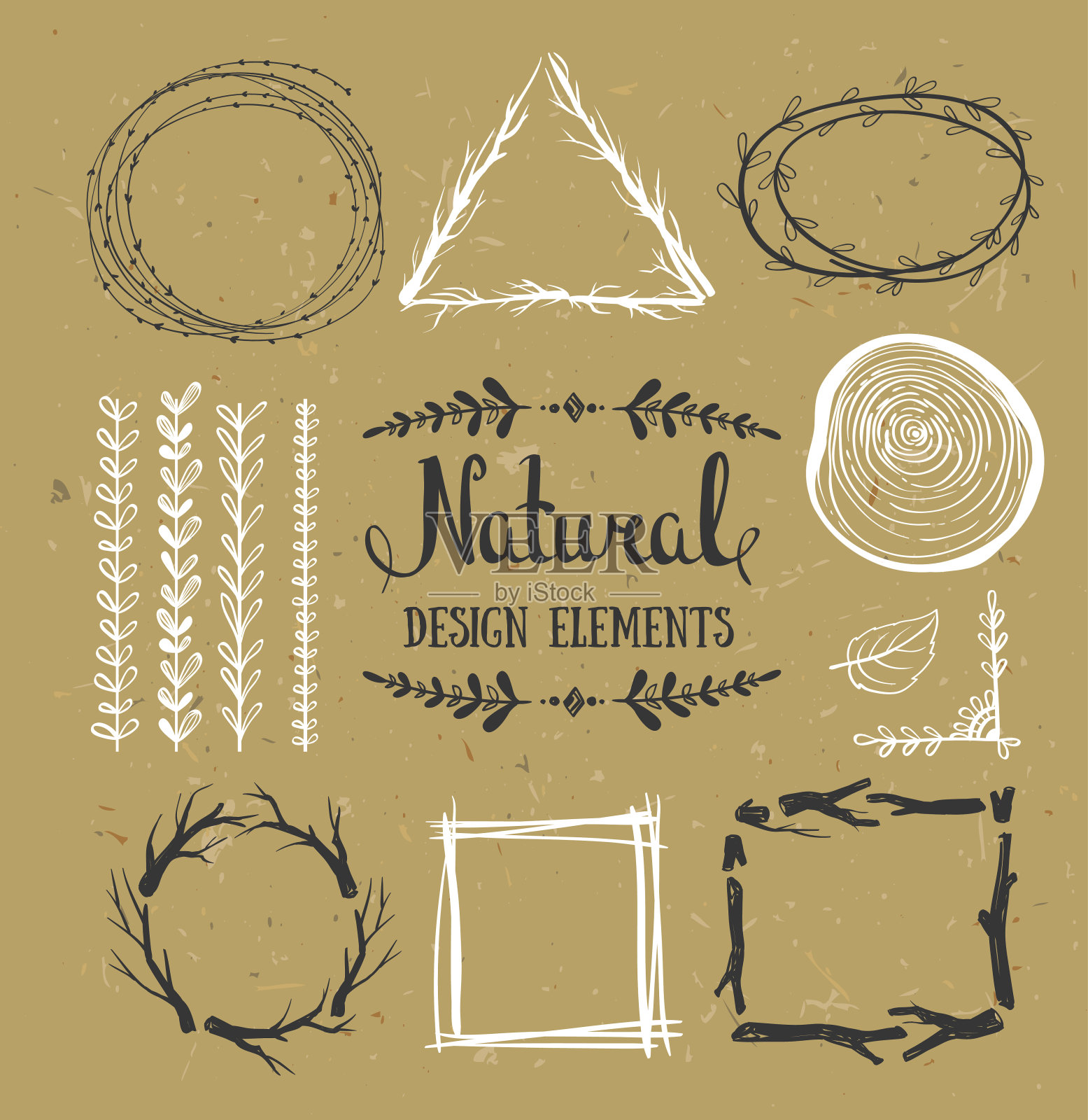 自然的设计元素。森林向量帧。矢量插图。插画图片素材