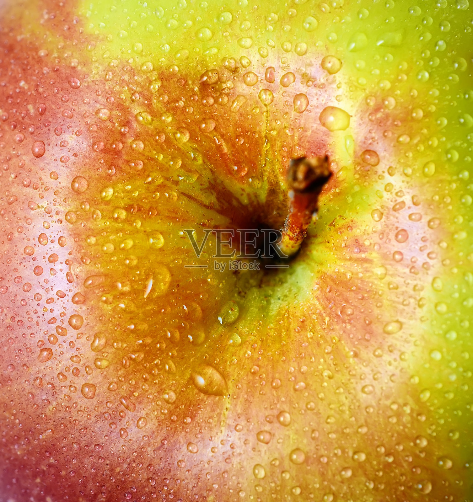 苹果照片摄影图片