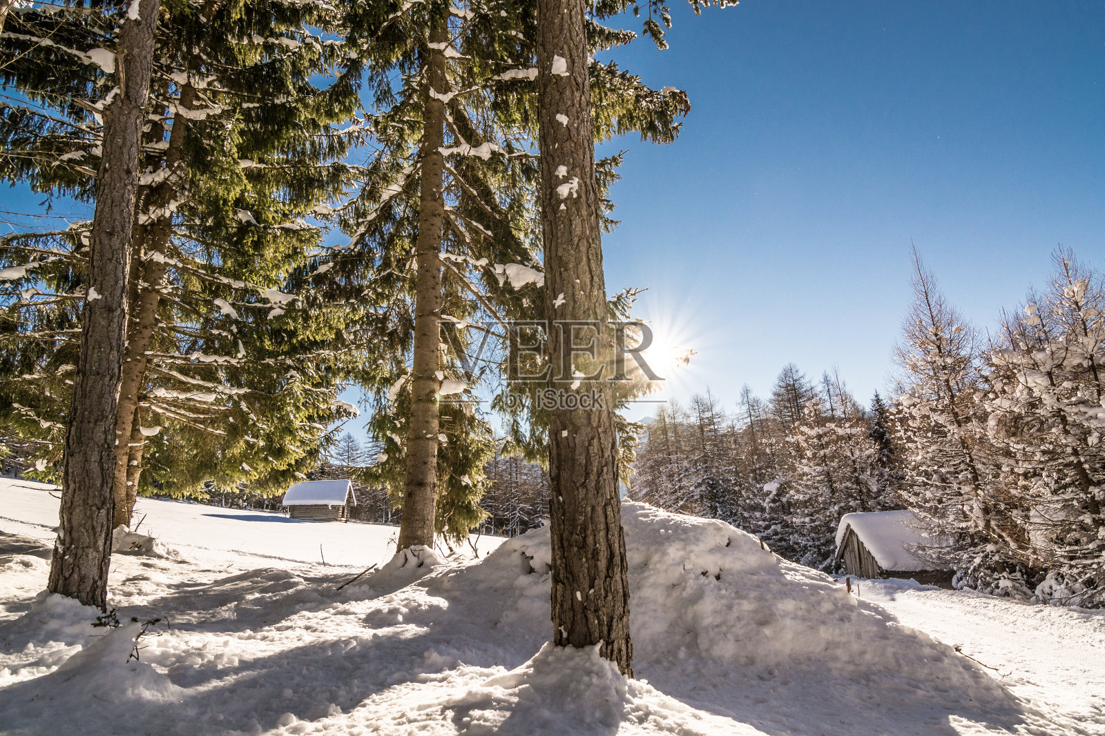 冬天的梦照片摄影图片