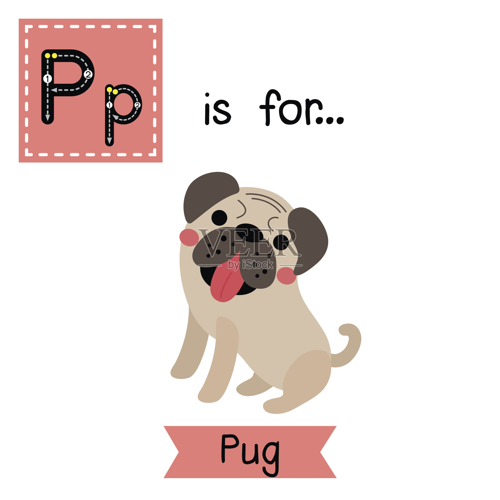 字母P跟踪。哈巴狗狗。插画图片素材