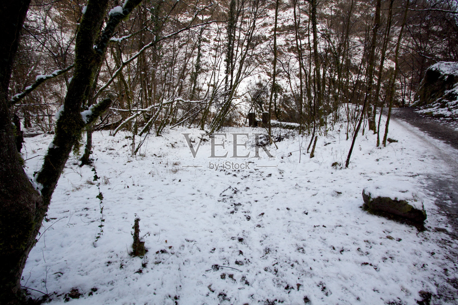 山景城照片摄影图片