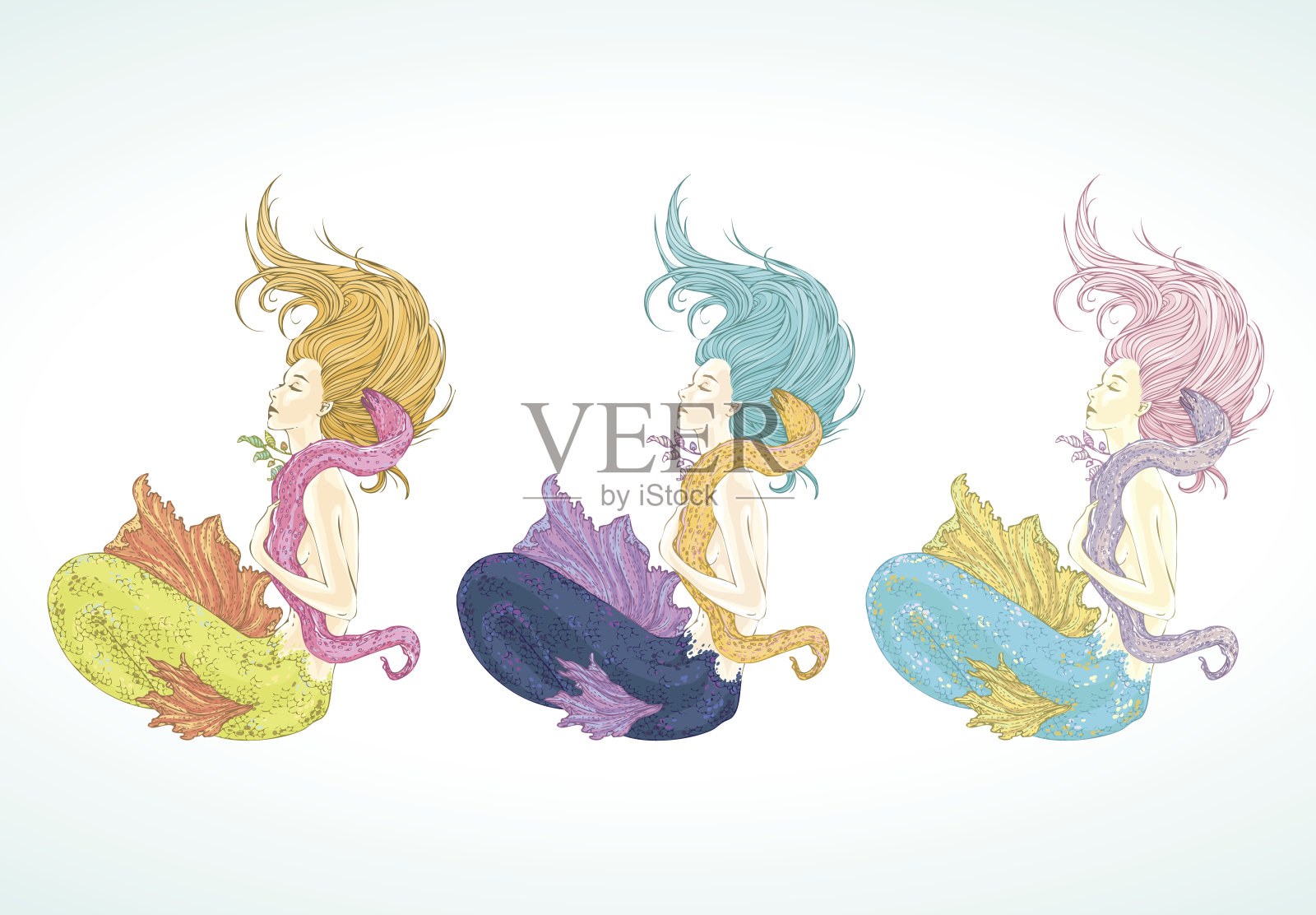 彩色的美人鱼。插画图片素材