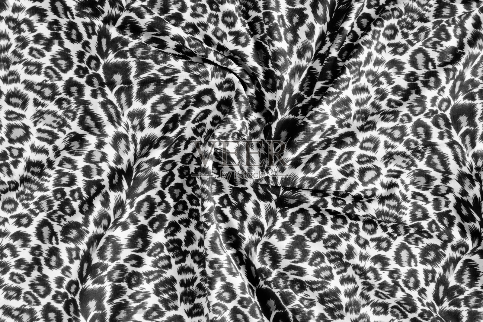 老虎的衣服是黑色和白色的照片摄影图片