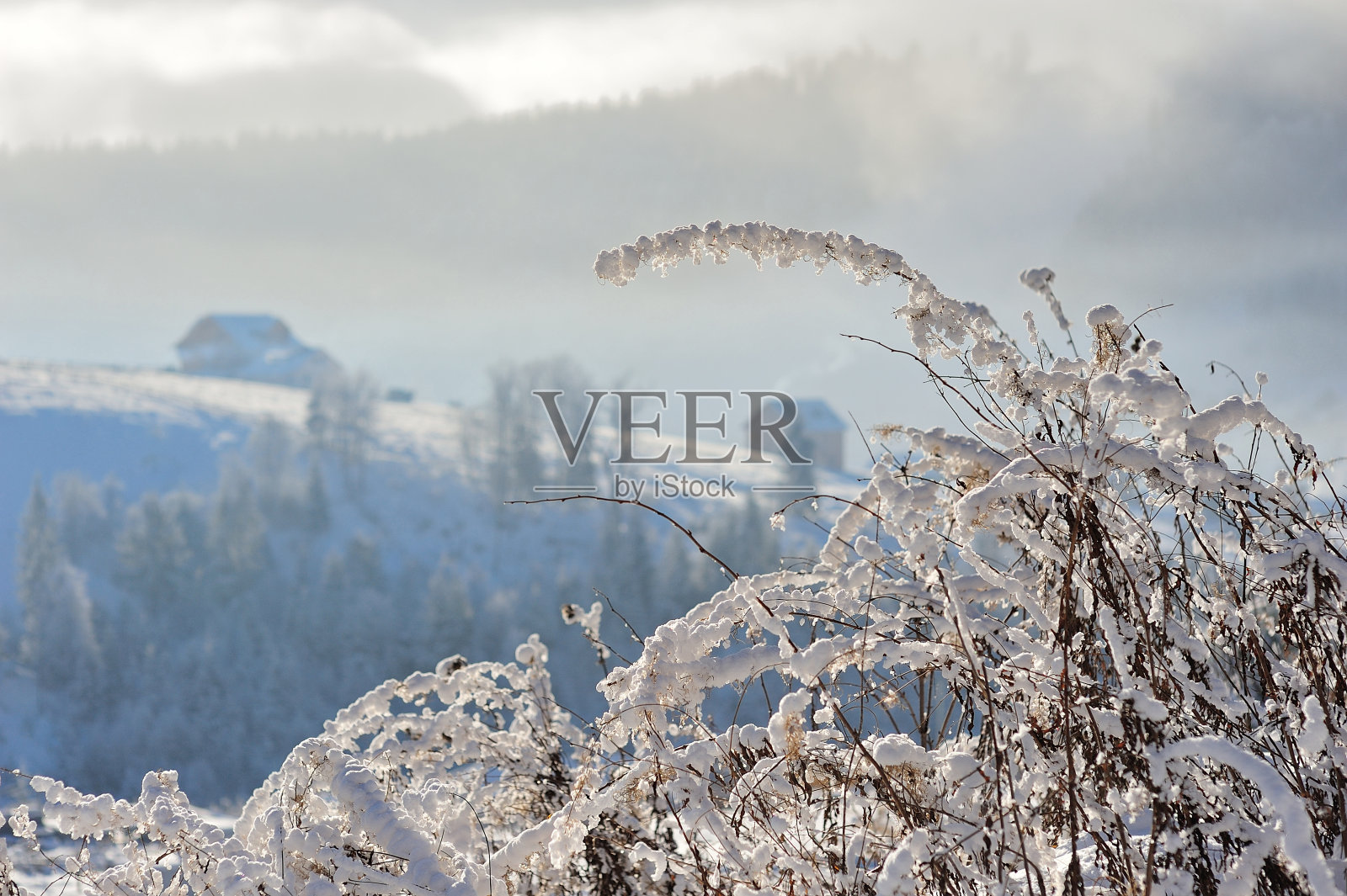 冬天喀尔巴阡山照片摄影图片