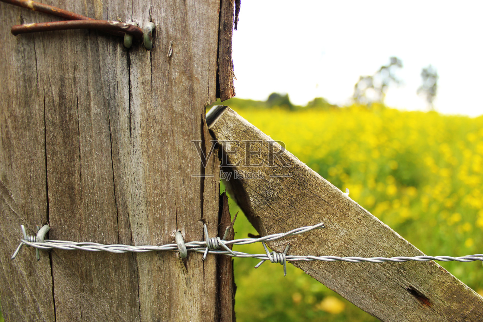 坚固照片摄影图片