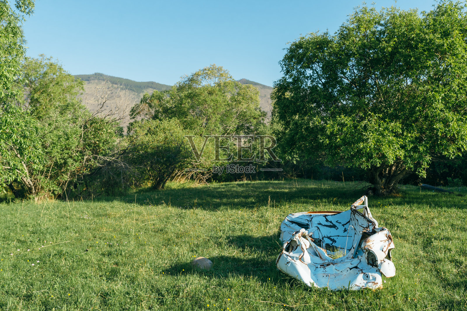 树林里皱巴巴生锈的车体。照片摄影图片