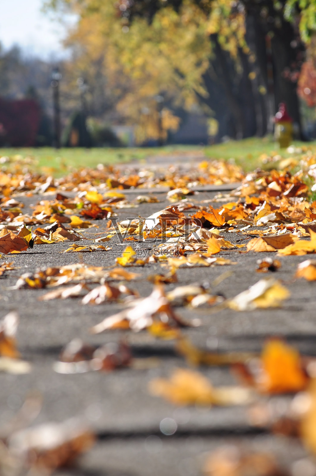 秋天的场景。照片摄影图片