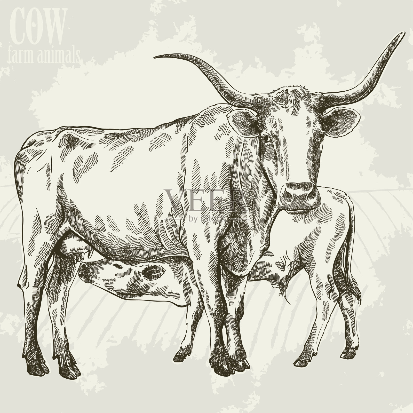 母牛和她的小牛设计元素图片