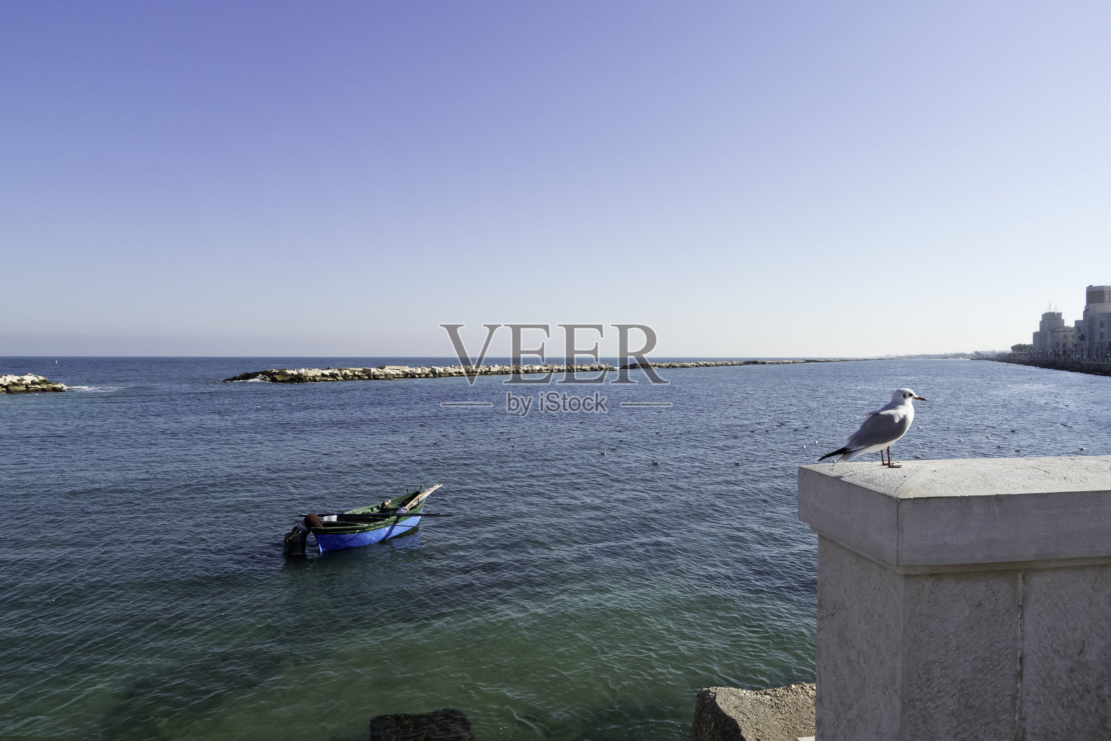 渔夫和海鸥。照片摄影图片