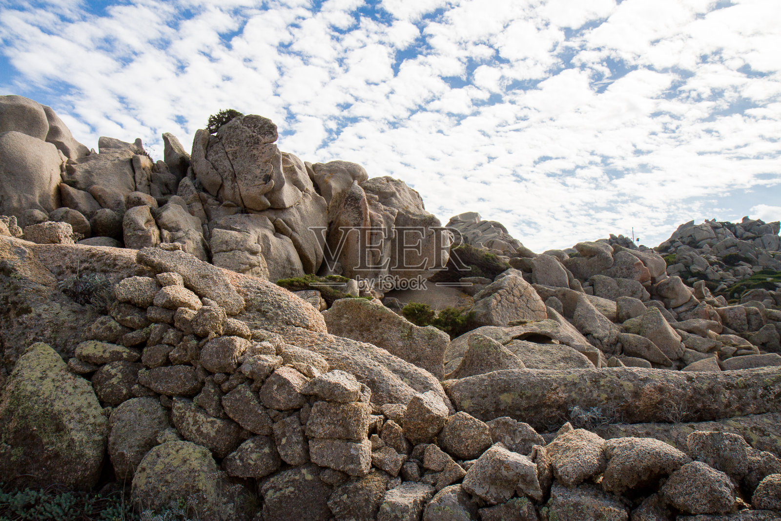 斯坦费森在前面照片摄影图片