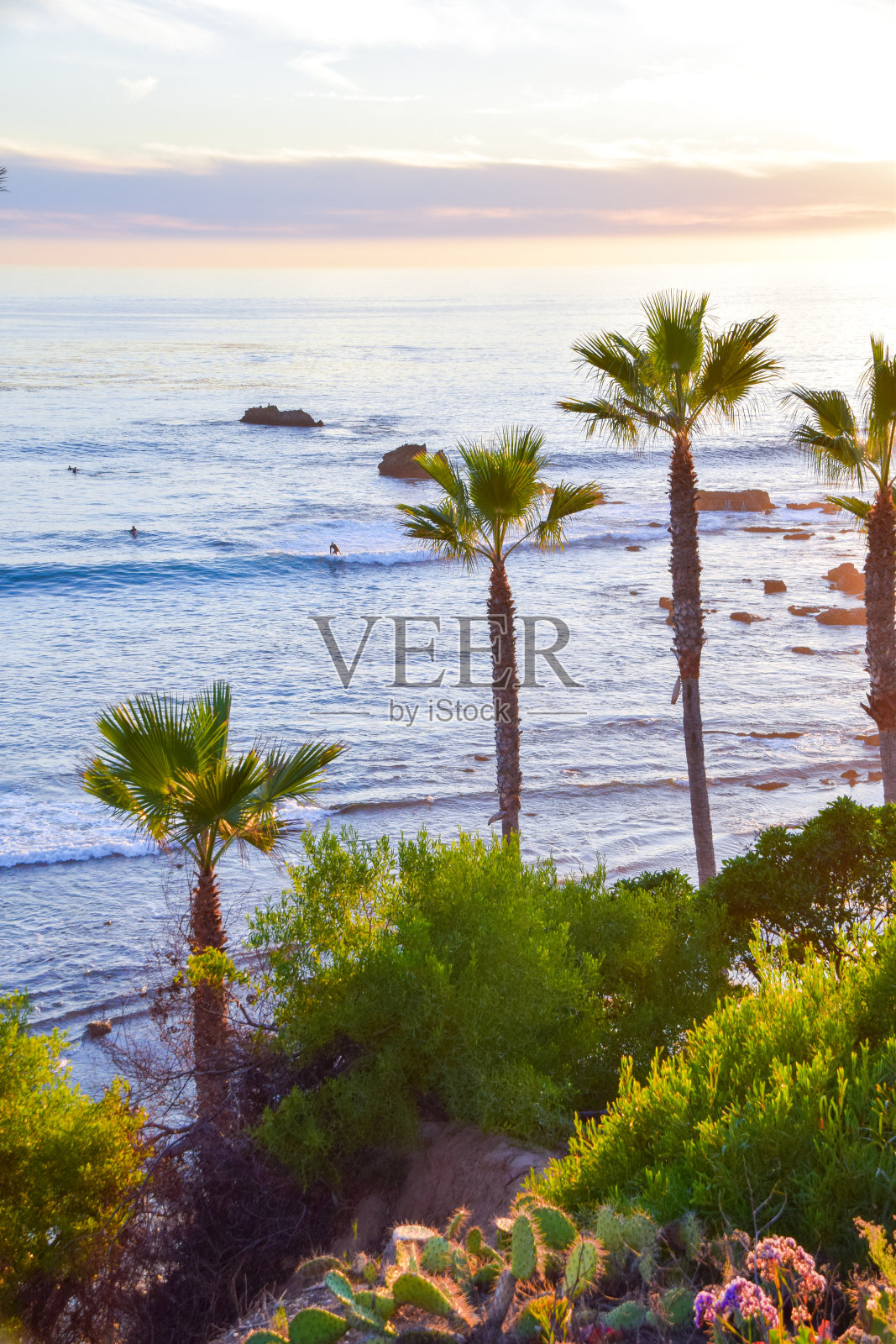 海斯勒公园拉古纳海滩照片摄影图片