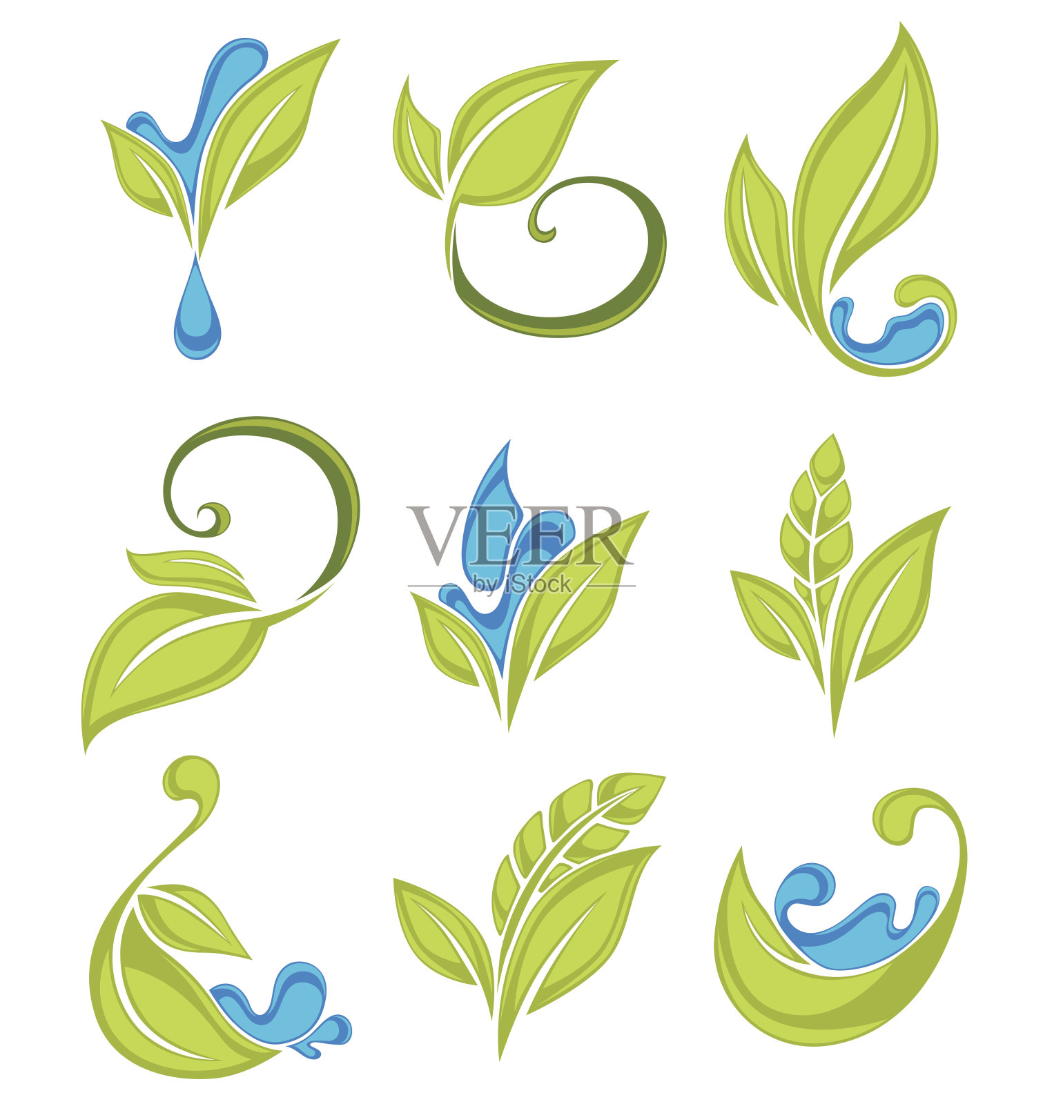 绿叶、植物和水滴，vector鲜收集设计元素图片