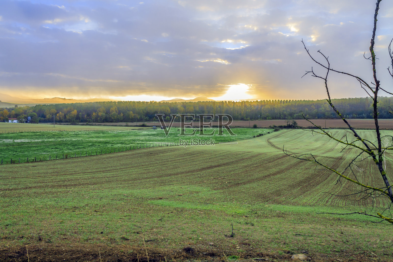 美丽的山景照片摄影图片