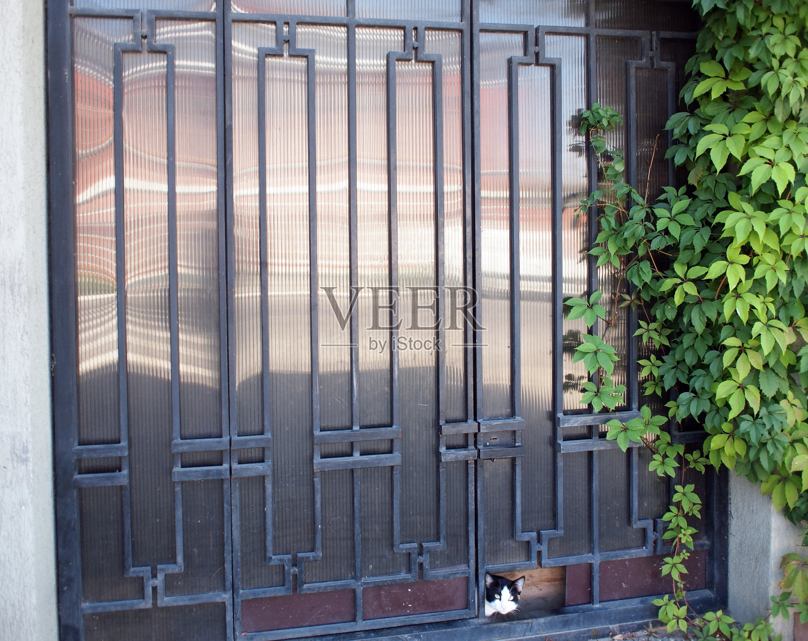 用金属条装饰的锁着的大门照片摄影图片