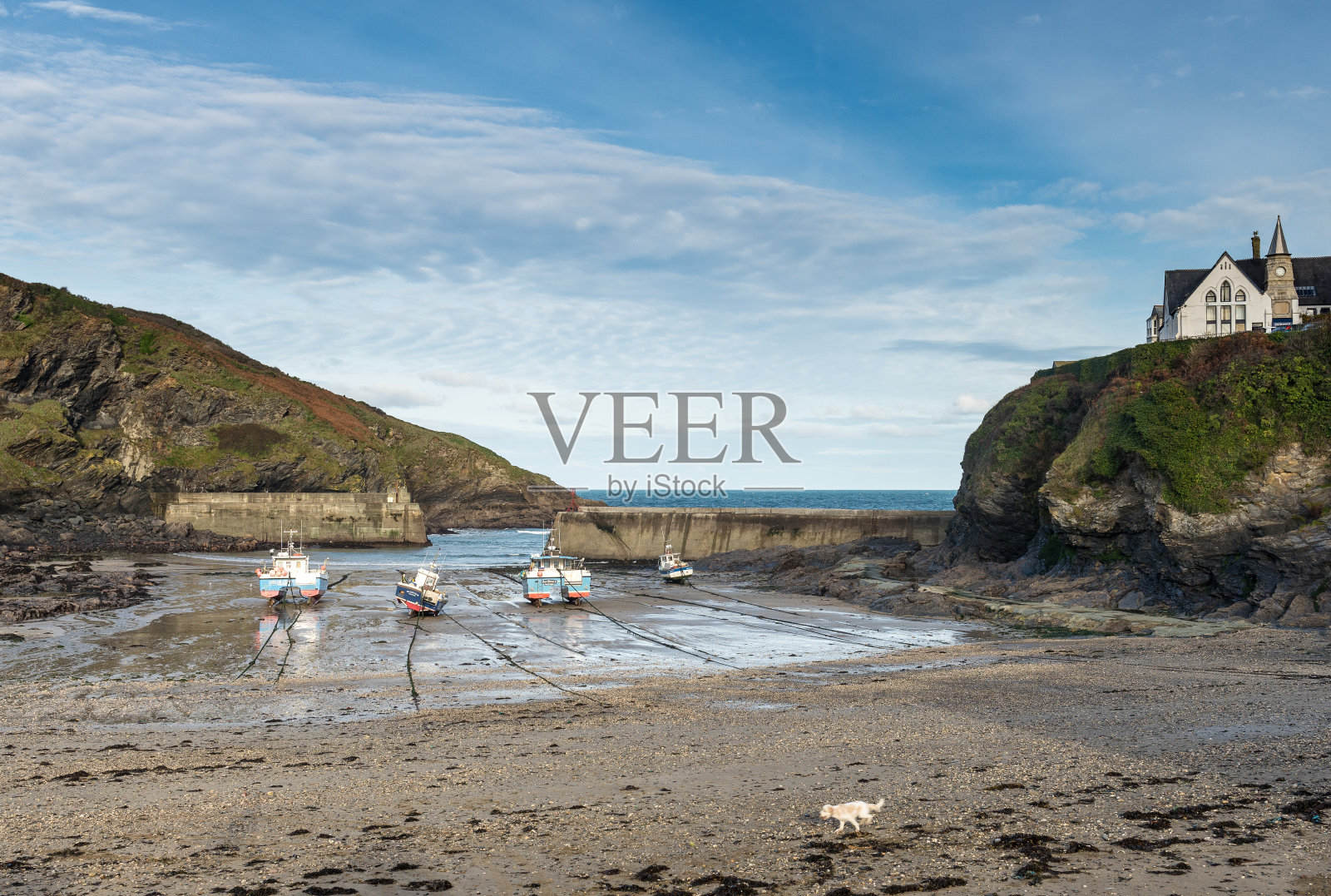 建筑物耸立在港口上方照片摄影图片