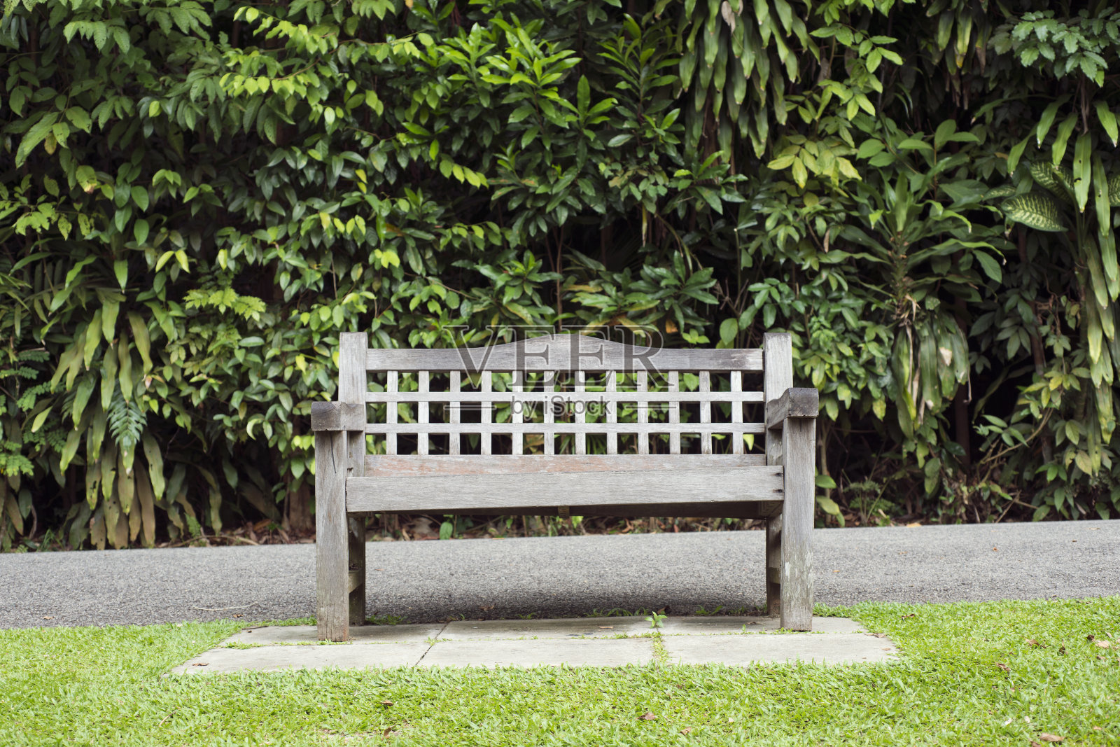 公园的长椅上草地照片摄影图片