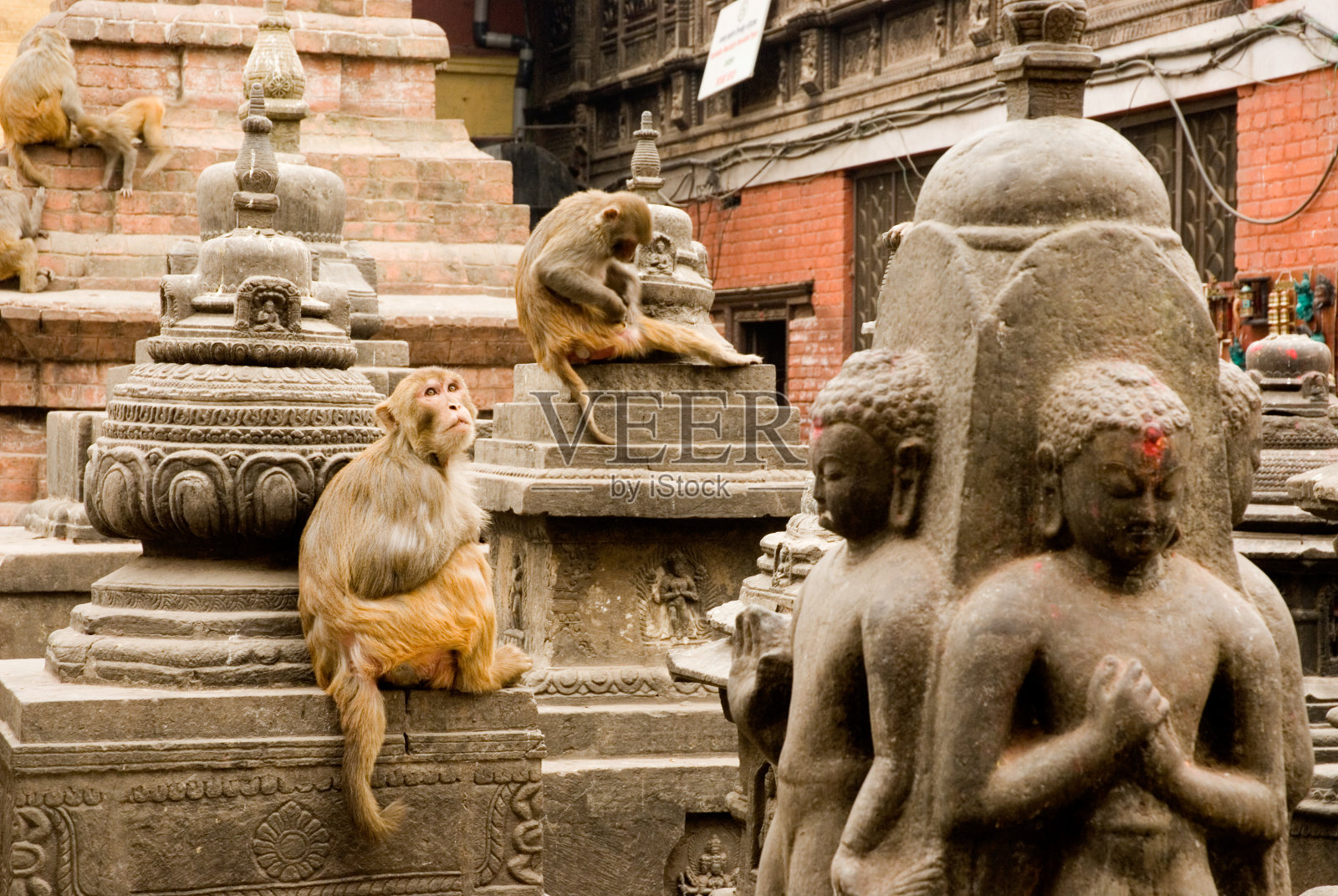 斯瓦扬布纳特神庙的猕猴和花岗岩雕塑和猴子。照片摄影图片