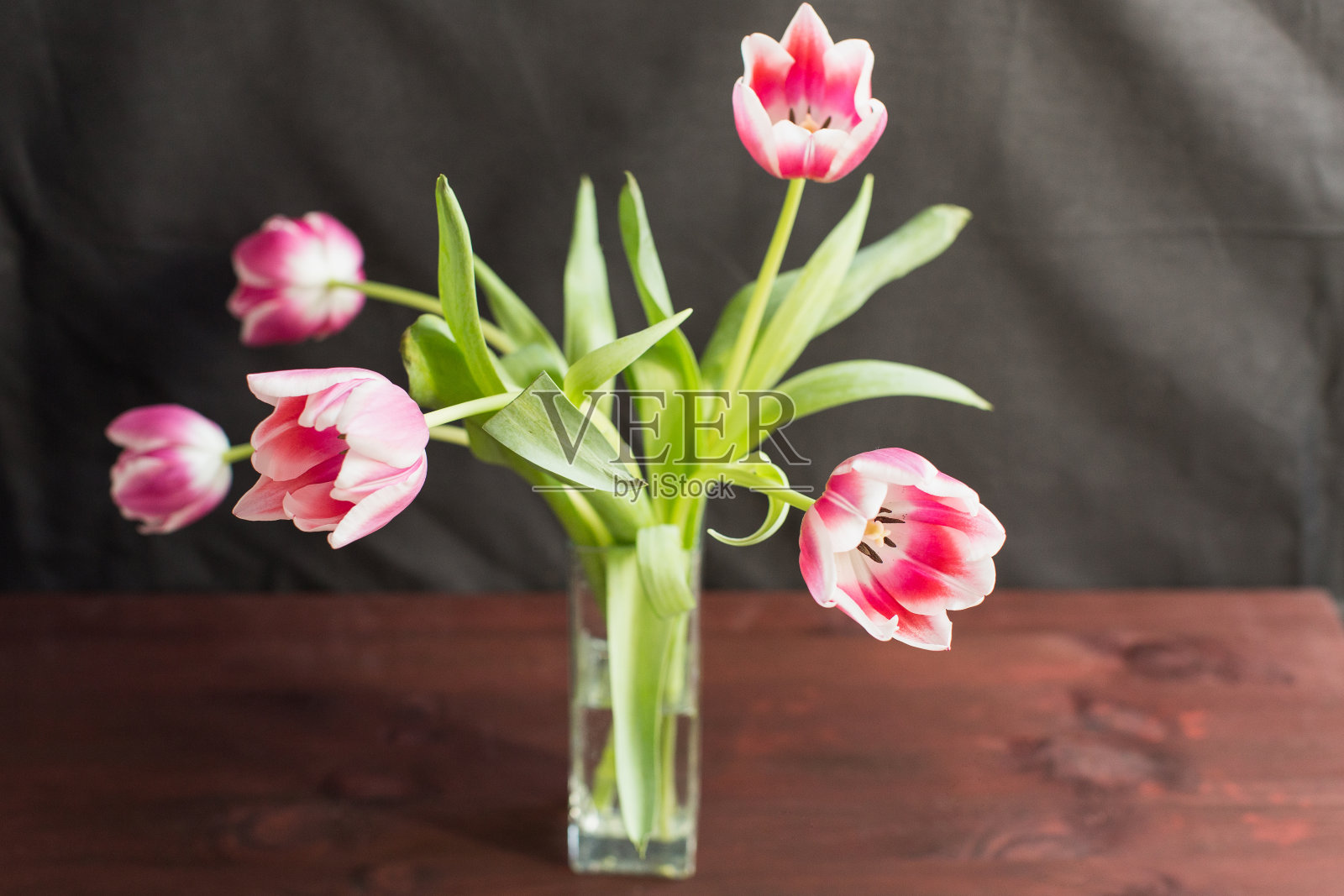 木色背景上花瓶里的粉红色郁金香照片摄影图片
