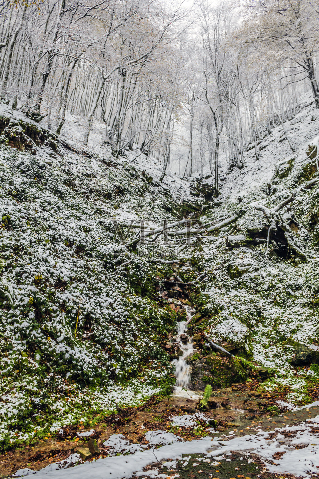 在一个阳光明媚的日子里爬山照片摄影图片