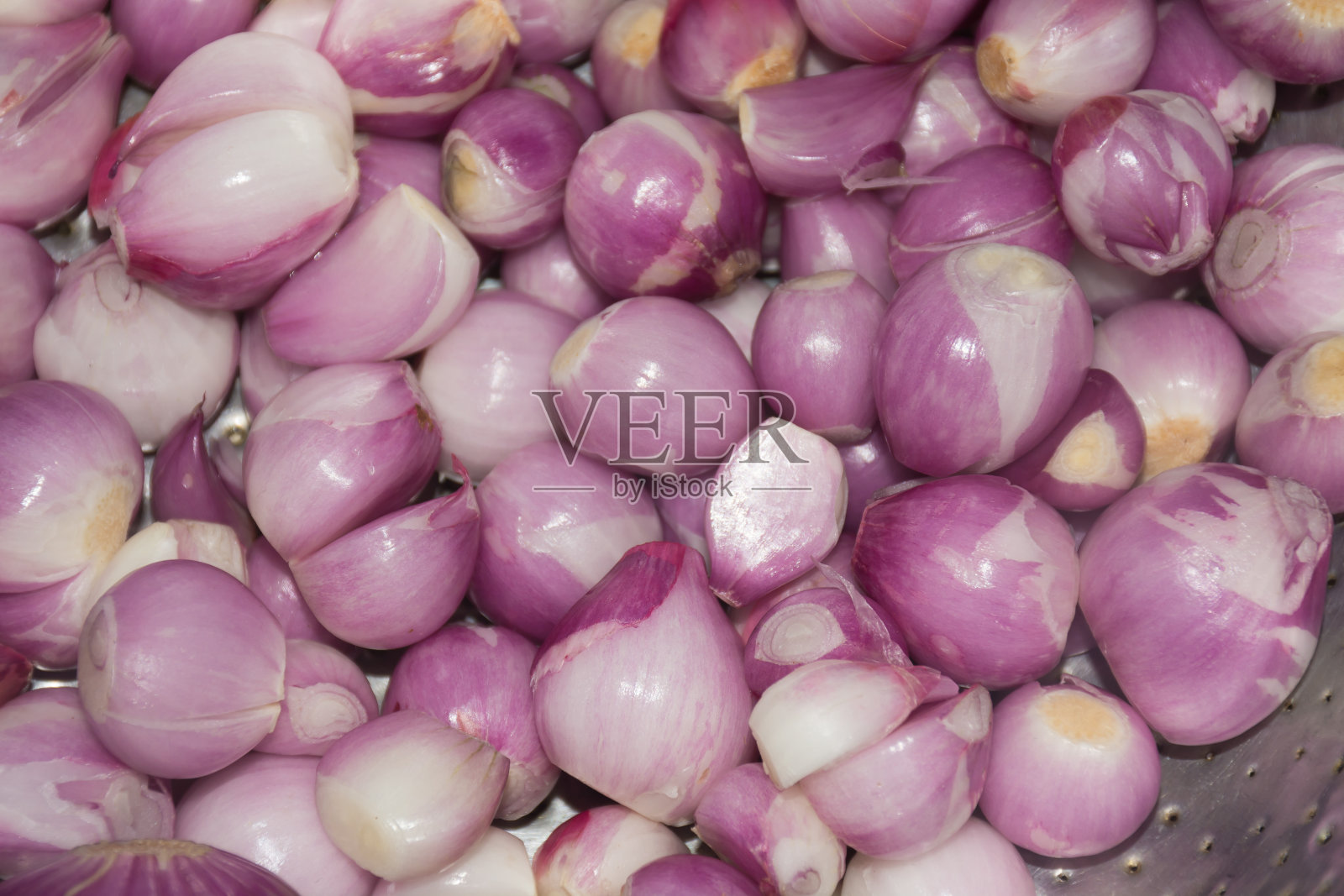 洋葱照片摄影图片