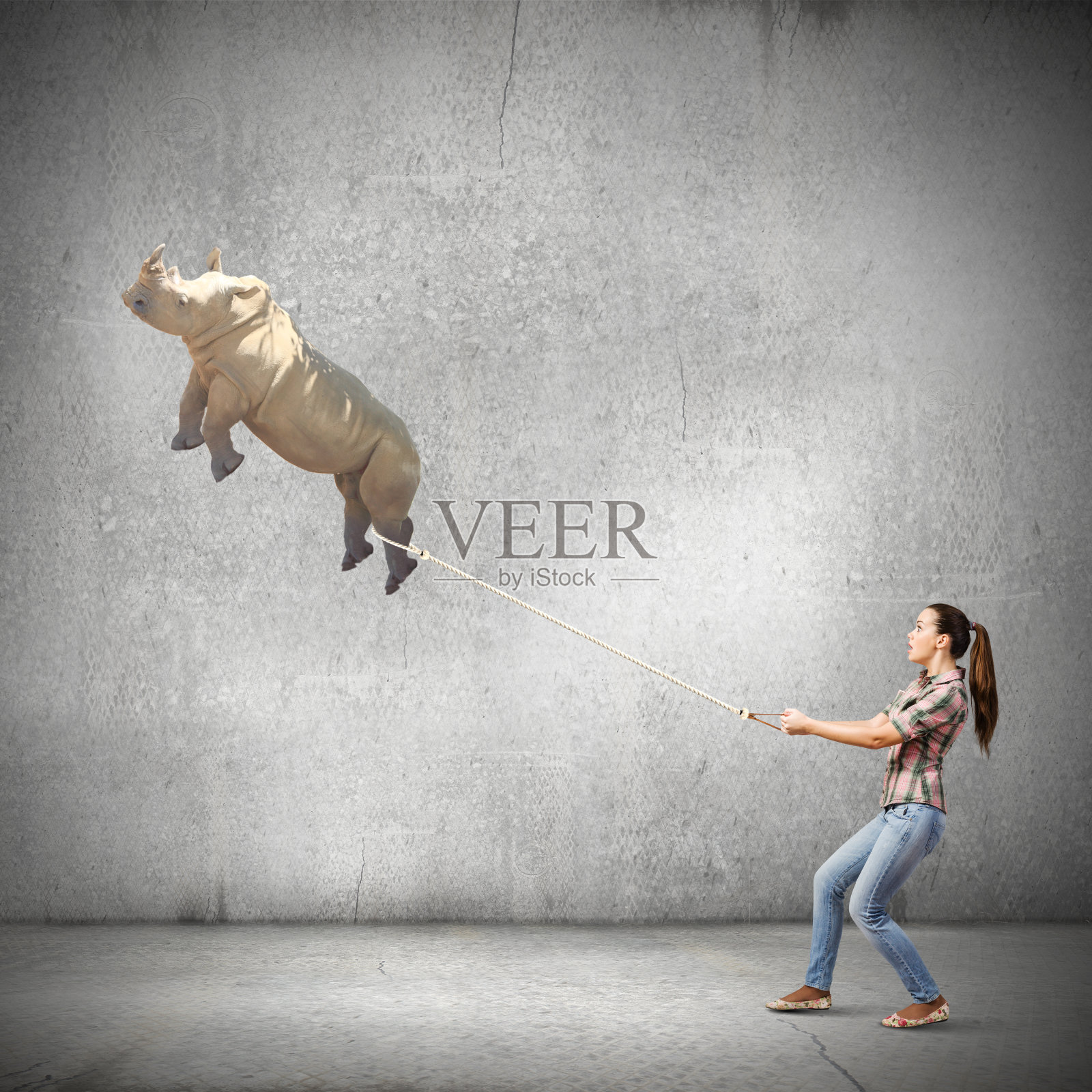 动物园的动物照片摄影图片