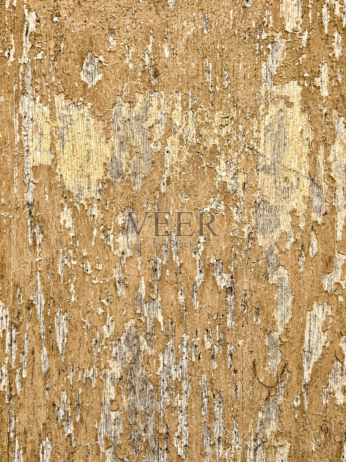 背景照片摄影图片