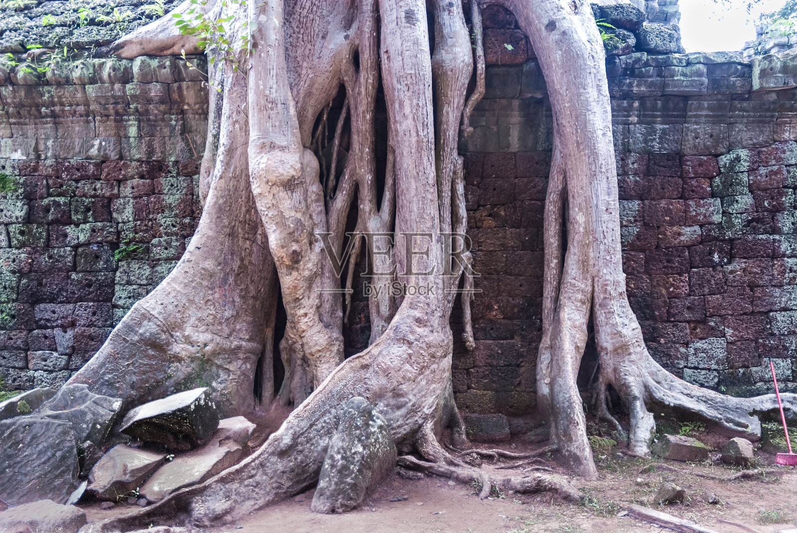塔普罗姆照片摄影图片