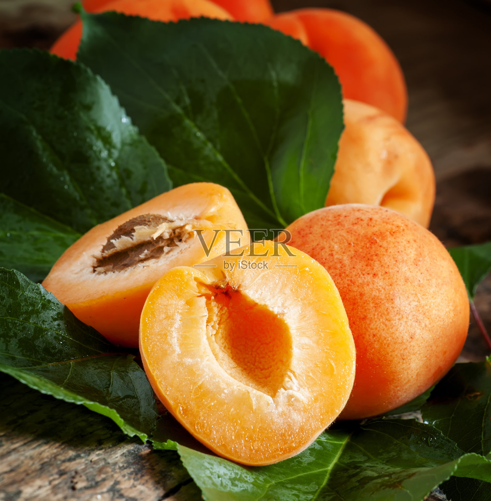 成熟美味的杏叶照片摄影图片