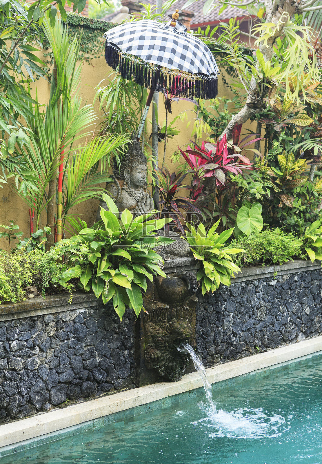 方丹照片摄影图片