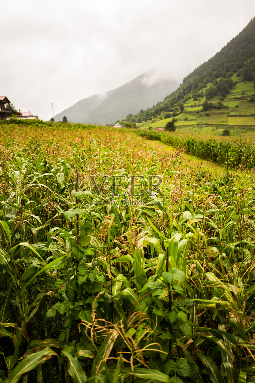 山地景观照片摄影图片