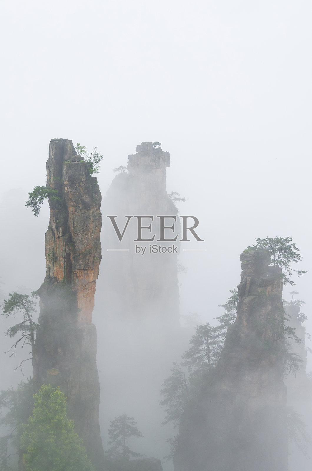 雾和雨在山上，武陵源风景区，中国照片摄影图片