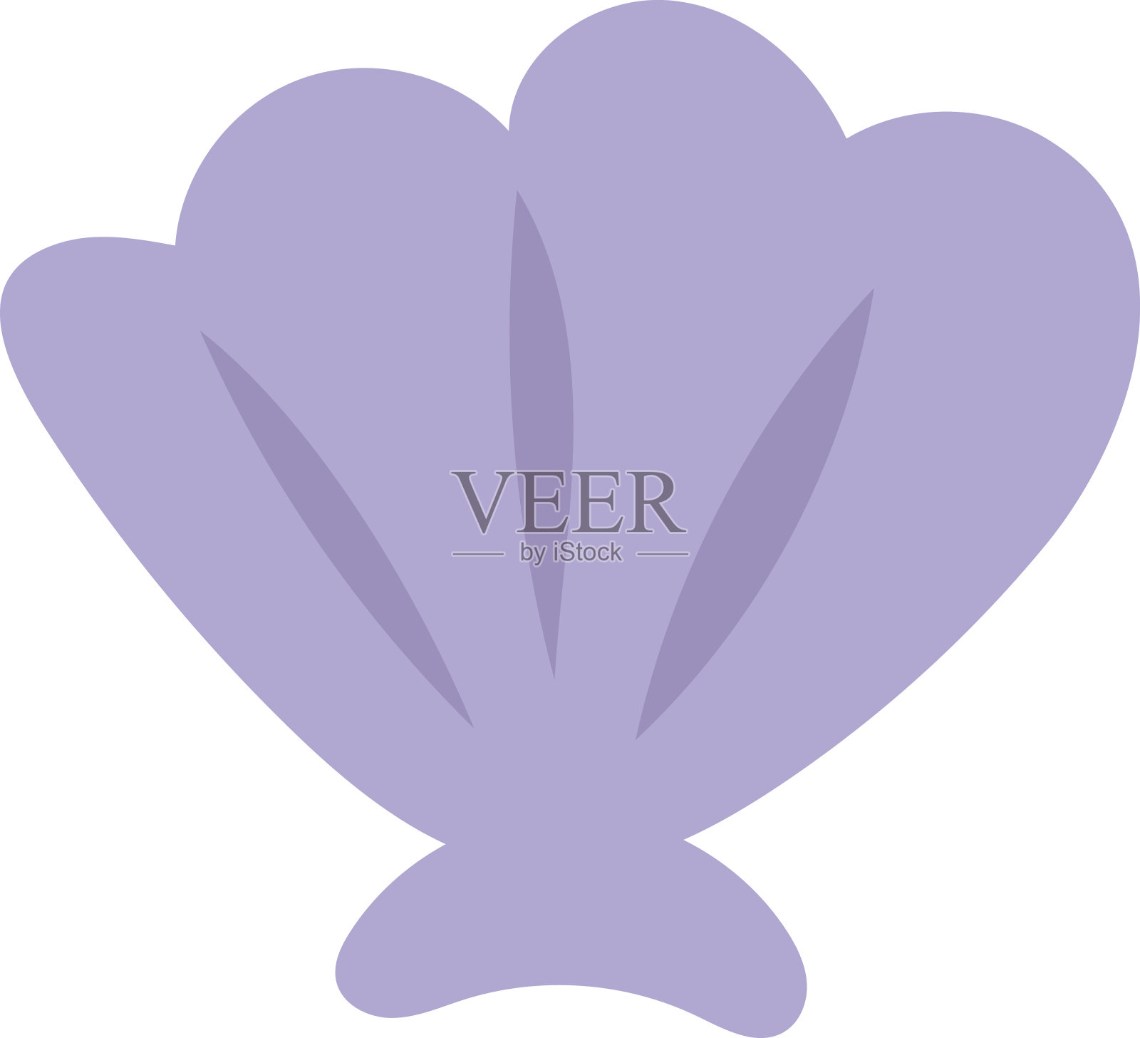 海贝矢量插图。设计元素图片