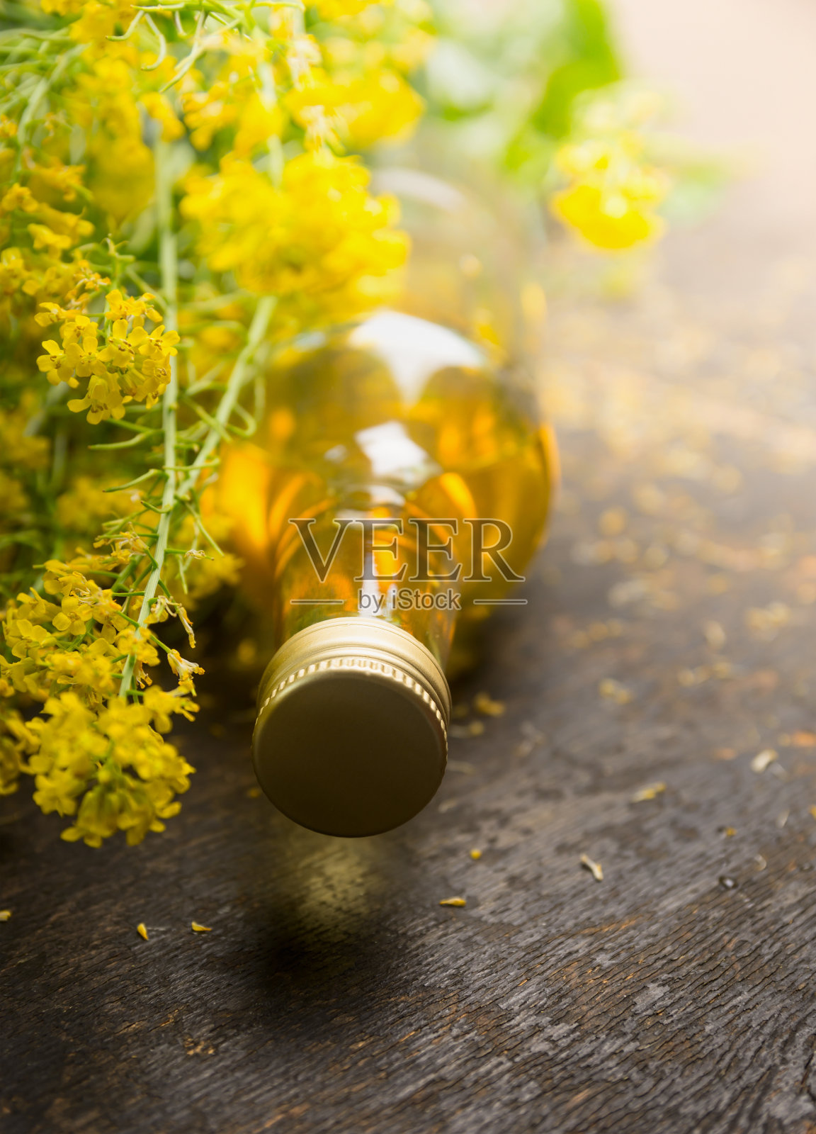 菜籽油与新鲜油菜植物照片摄影图片