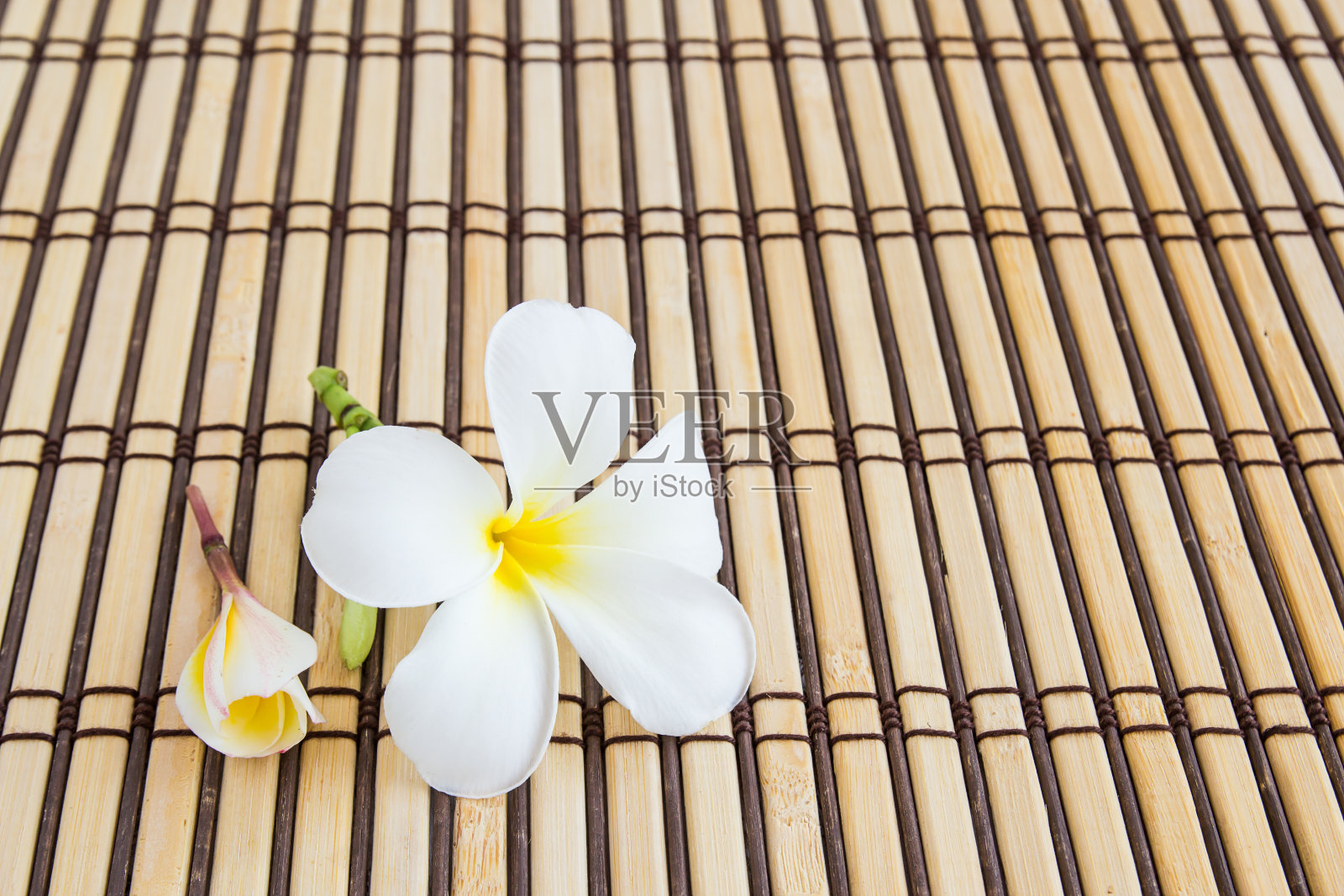 热带鸡蛋花竹席水疗概念照片摄影图片