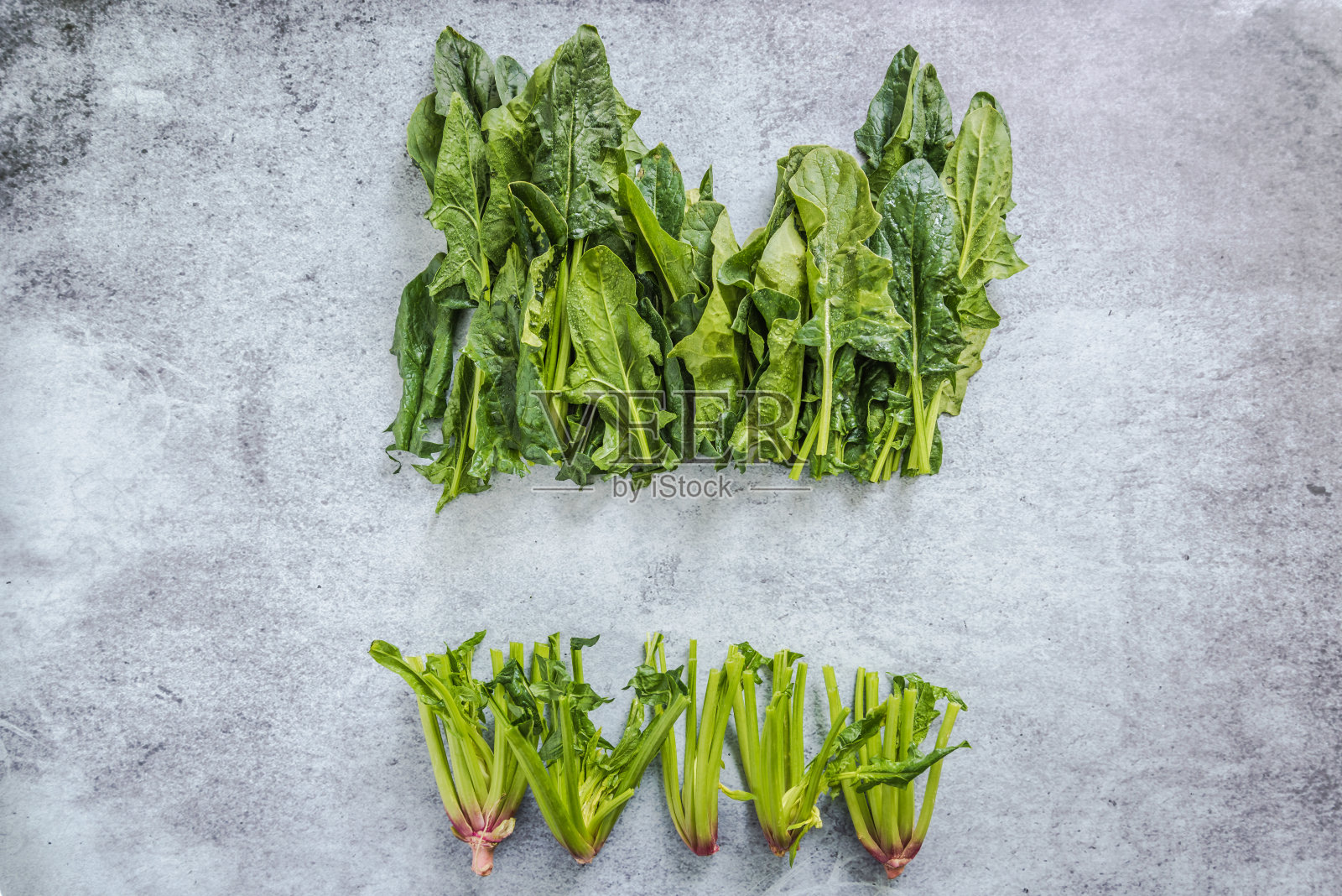 新鲜农产品，野生菠菜照片摄影图片