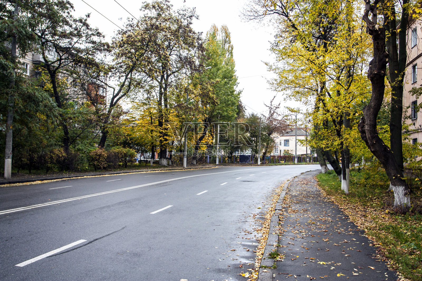 城市街道的道路照片摄影图片