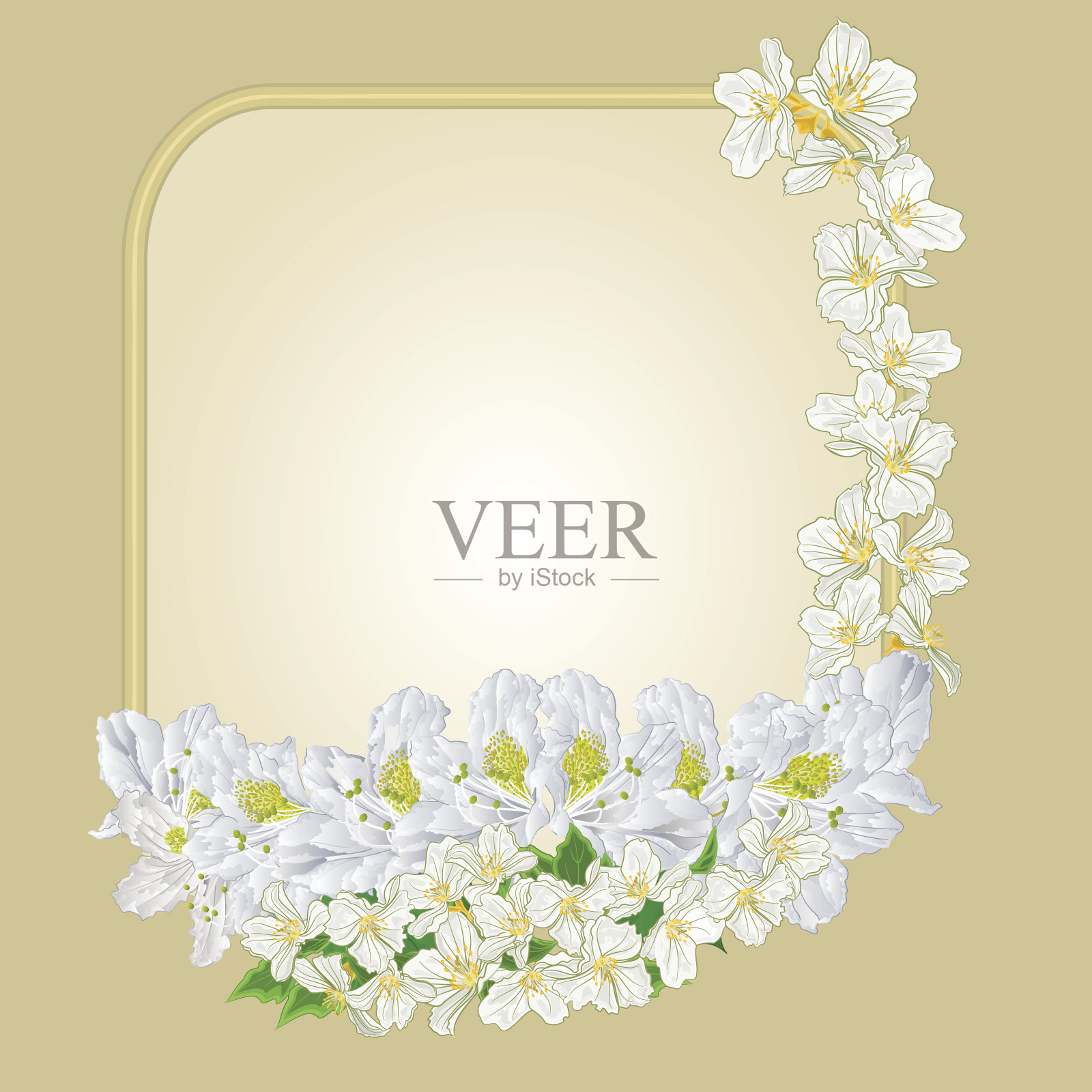 框架杜鹃和茉莉载体插画图片素材