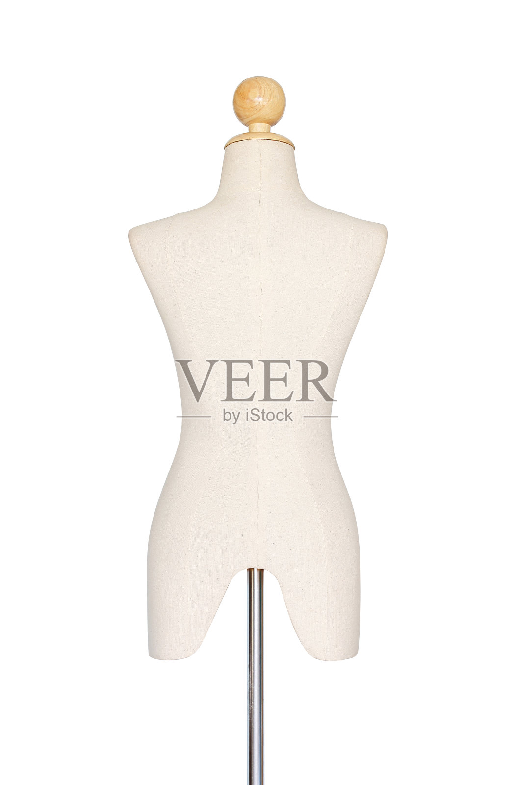 背部人体模型照片摄影图片