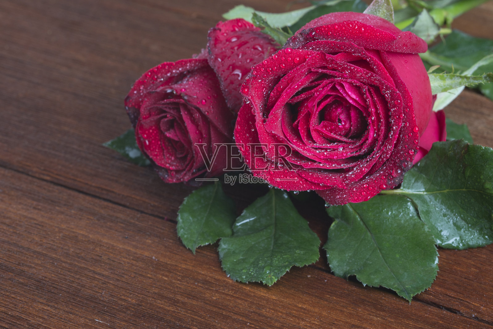 近距离微距拍摄的玫瑰照片摄影图片