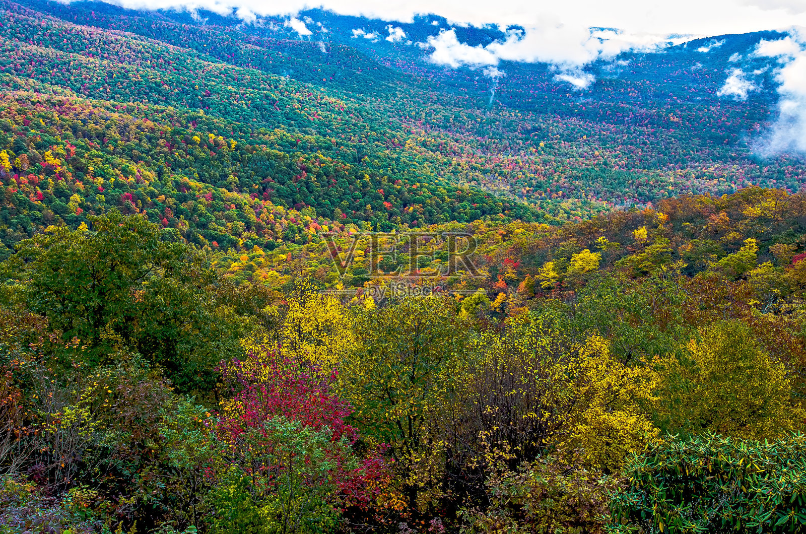 大烟山国家公园照片摄影图片