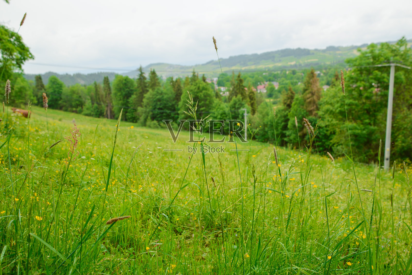 春草和山的田野照片摄影图片