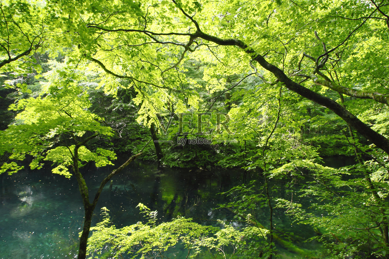 石拉卡米-桑奇世界遗产照片摄影图片